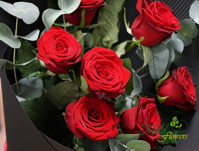 Bouquet of red roses, eucalyptus in black paper photo